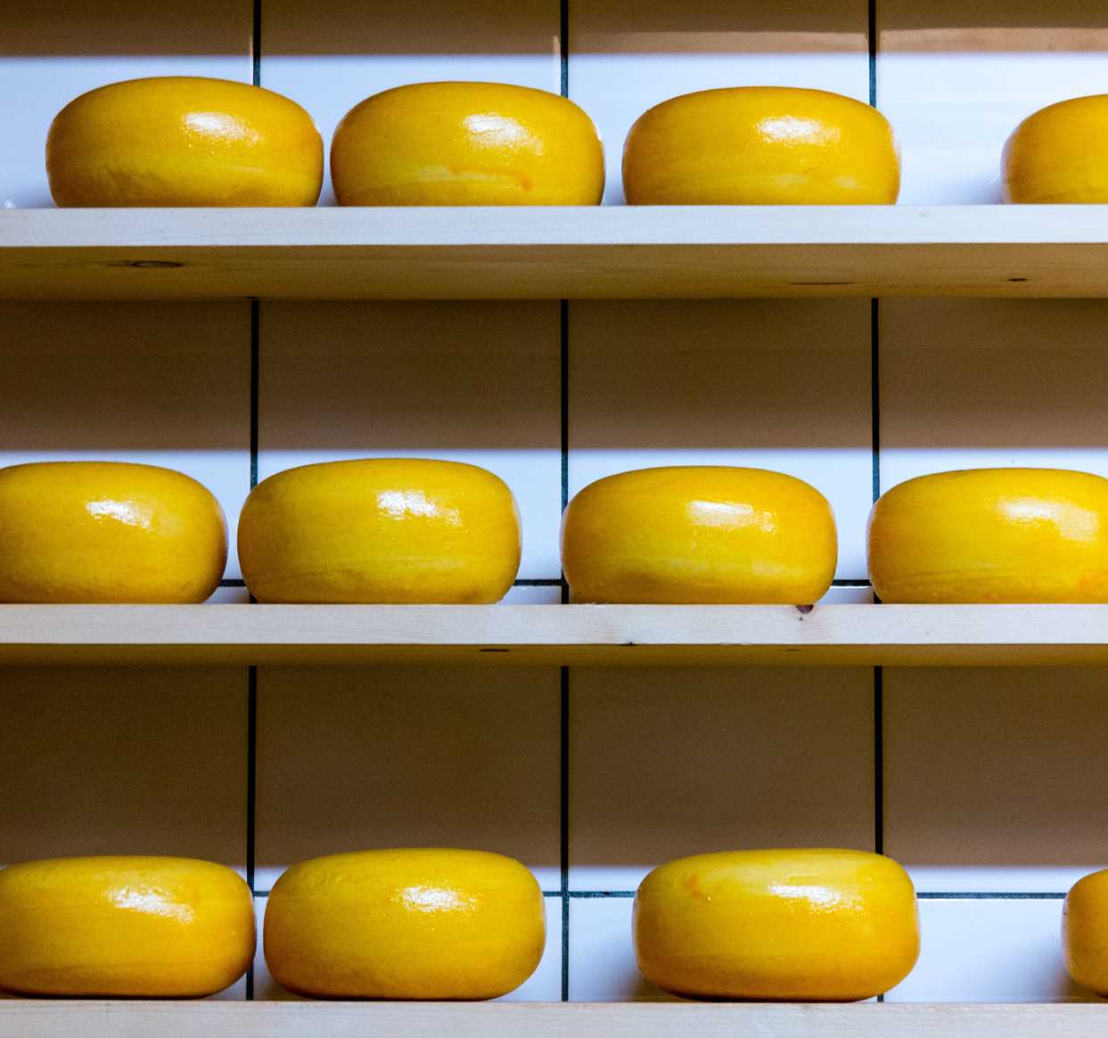 Impianti di produzione formaggio Impianti di produzione formaggio